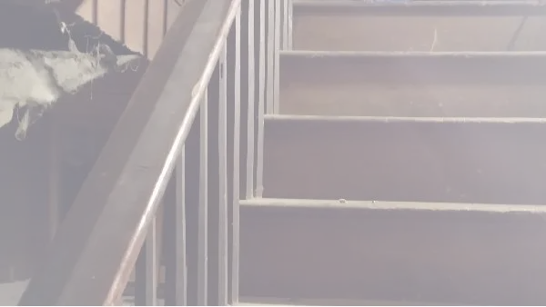 A close-up, angled shot of a weathered wooden staircase and banister inside a dim interior. The wood is dark and worn with age, showing fine dust and slight damage to the structural elements on the left. The focus is on the craftsmanship of the vertical balusters and the steady rise of the stairs.